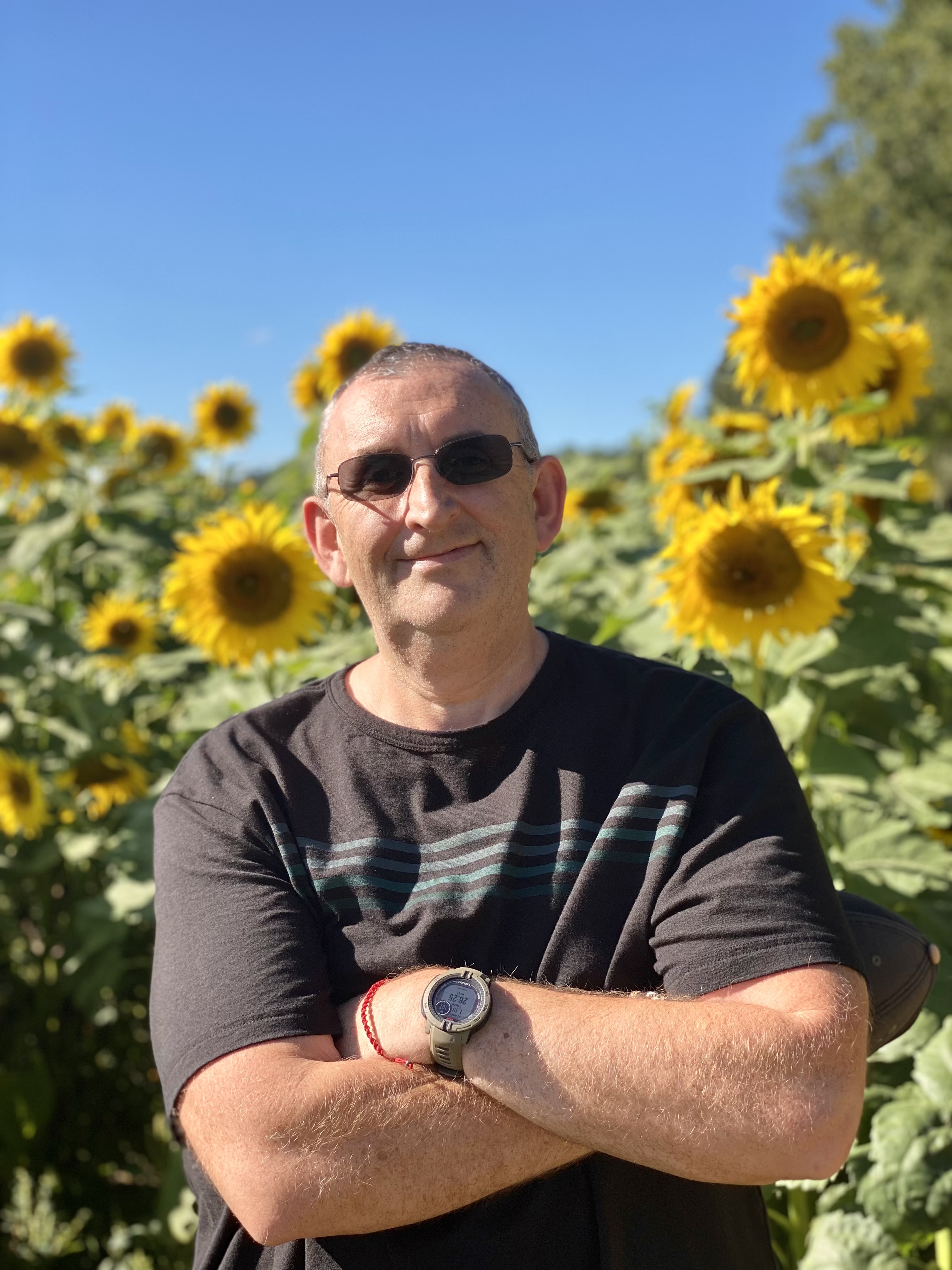 Jock Brocas in sunflower field